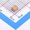 100uF ±10% 10V