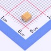 100uF ±10% 6.3V