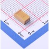 100uF ±10% 6.3V