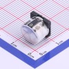 18uF ±20% 160V