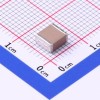 10uF ±10% 100V