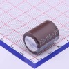 100uF ±20% 250V
