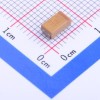 220uF ±10% 6.3V