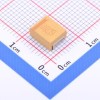100uF ±10% 25V