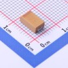 100uF ±10% 16V