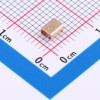 0.5mΩ ±1% 5W