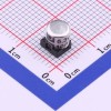100uF ±20% 6.3V