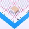 1uF ±10% 250V