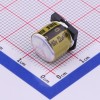 22uF ±20% 160V